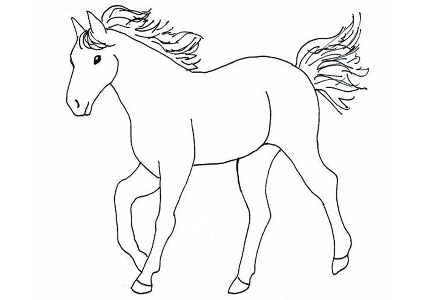 Pferde-10 | Malvorlagen Pferde, Ausmalbilder Pferde mit Pferde Ausmalbilder Kostenlos