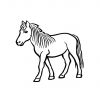 Pferde Ausmalbilder Kostenlos Malvorlagen Windowcolor Zum verwandt mit Ausmalbilder Kostenlos Pferde