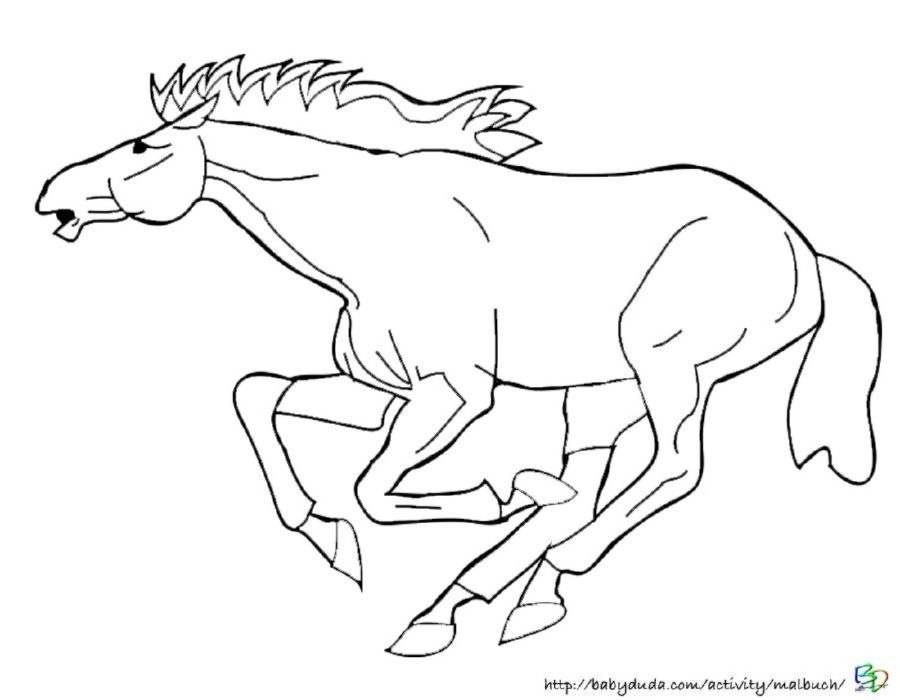 Pferdebilder Ausmalen: Pferdeköpfe Ausmalbilder | Babyduda bestimmt für Pferdebilder Mit Reiter Zum Ausmalen