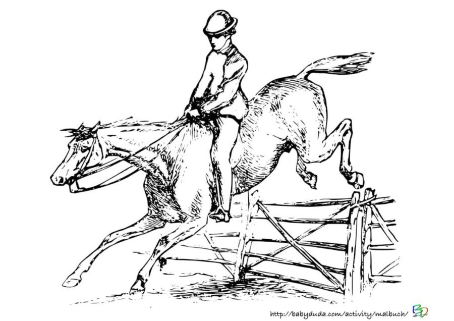 Pferdebilder Ausmalen: Pferdeköpfe Ausmalbilder | Babyduda verwandt mit Ausmalbilder Pferd Mit Reiter