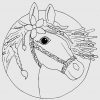 Pferdekopf Ausmalbild Gezeichnet Von Louisa (8) | Ausmalen ganzes Ausmalbild Pferd Zum Ausdrucken