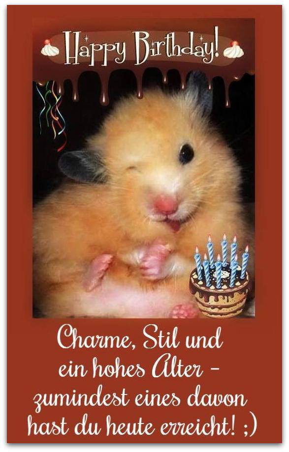 Pin Auf Geburtstagswünsche über Lustige Bilder Zum 16 Geburtstag