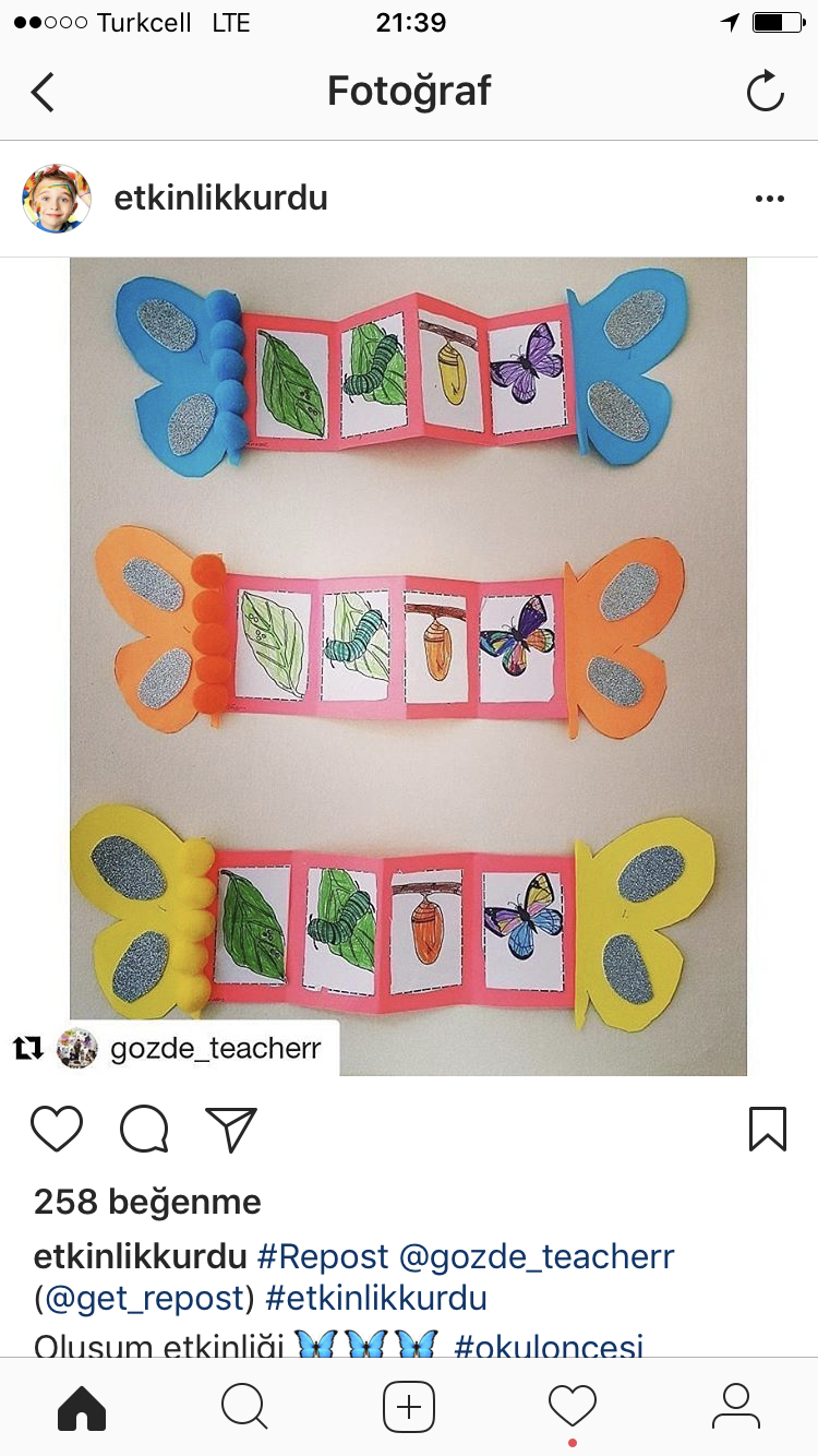 Pin Von Ebtsam Mansour Auf Hayvanlar | Kindergarten Raupe in Raupe Nimmersatt Projekt Kindergarten