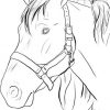 Pin Von Freude Kinder 🎨 Auf Ausmalbilder Zum Ausdrucken innen Ausmalbilder Pferde Ausdrucken