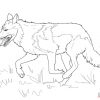 13+ Wolf Malvorlage - Malvorlagen für Malvorlage Wolf