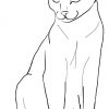 18-Schoene-Ausmalbilder-Katze-Dekoking-Com | Ausmalbilder in Katze Bilder Zum Ausmalen