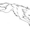 20 Ideen Für Ausmalbilder Wolf Kopf - Beste Wohnkultur über Ausmalbilder Wolf