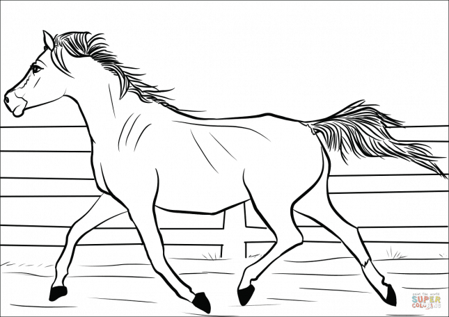 337 Ausmalbilder Pferde Zum Ausdruck - Kostenlose für Ausmalbilder Pferde Drucken