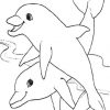 35+ Delfin Ausmalbilder Kostenlos Ausdrucken - Farbung in Delfin Zum Ausdrucken