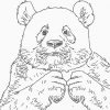 51 Pandabär Ausmalen - Ausmalbilder / Malvorlagen Kostenlos verwandt mit Tierbabys Zum Ausmalen