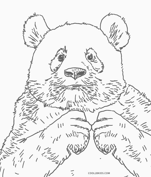 51 Pandabär Ausmalen - Ausmalbilder / Malvorlagen Kostenlos verwandt mit Tierbabys Zum Ausmalen