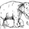55 Elefant Zum Ausmalen Und Ausdrucken - Ausmalbilder mit Ausmalbilder Elefant
