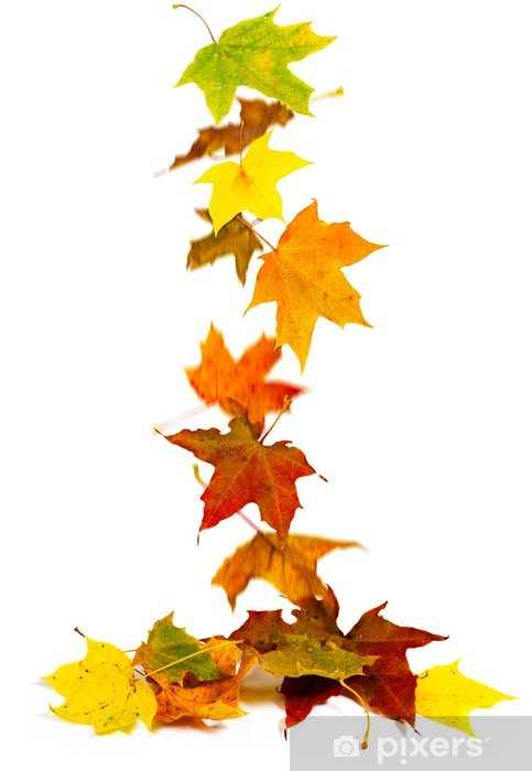 Aufkleber Fallende Blätter Im Herbst • Pixers® - Wir Leben mit Malvorlage Blätter Herbst
