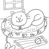 Ausmalbild Katzen: Katze Im Körbchen Ausmalen Kostenlos für Ausmalen Katze