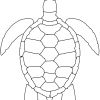 Ausmalbild See Schildkröte Kostenlos Zum Ausdrucken für Ausmalbild Schildkröte