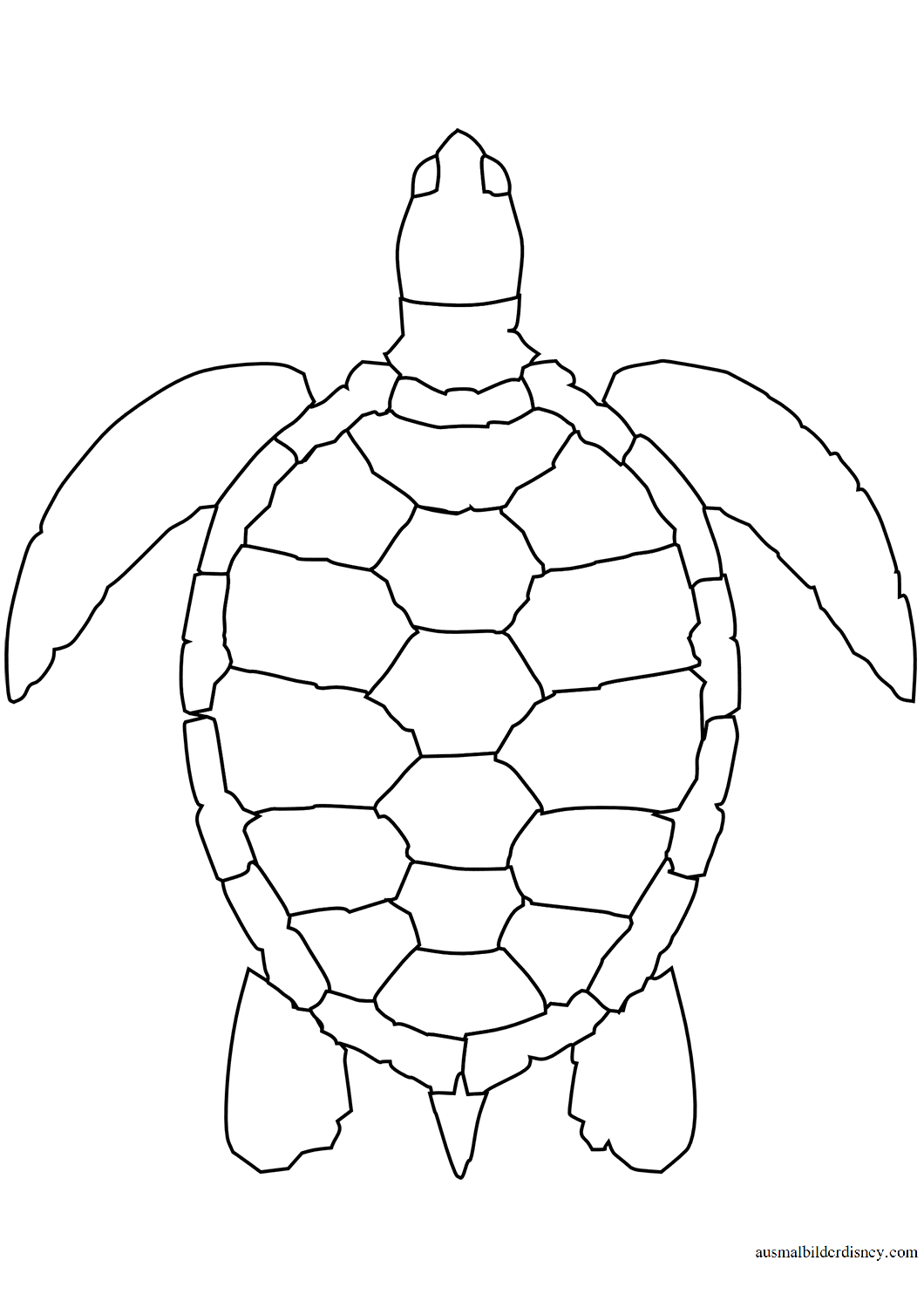Ausmalbild See Schildkröte Kostenlos Zum Ausdrucken für Ausmalbild Schildkröte