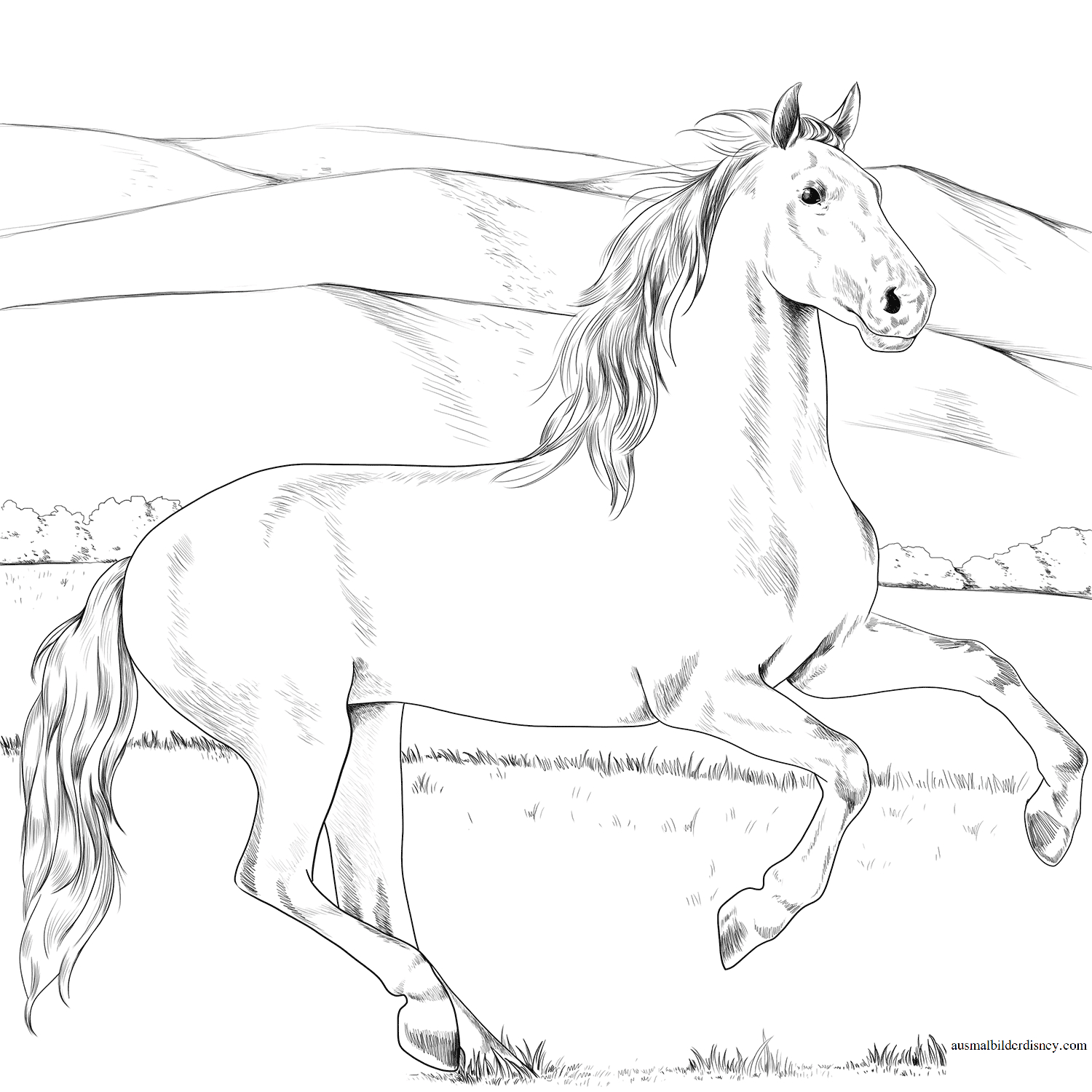 Ausmalbild Seppl, Der Zwerg Kostenlos Zum Ausdrucken mit Ausmalbilder Pferde