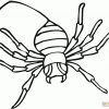 Ausmalbild: Spinne 13 | Ausmalbilder Kostenlos Zum Ausdrucken in Spinnen Zum Ausdrucken