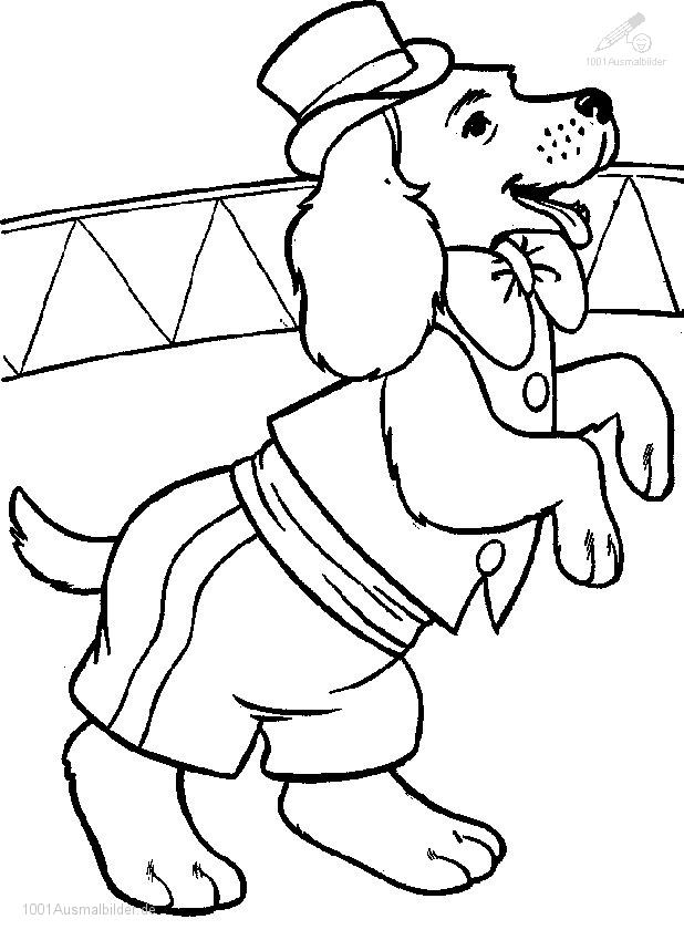 Ausmalbild Zirkus Hund verwandt mit Ausmalbild Zirkus