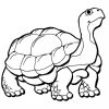 Ausmalbilder: Ausmalbilder: Schildkröte Zum Ausdrucken innen Ausmalbild Schildkröten