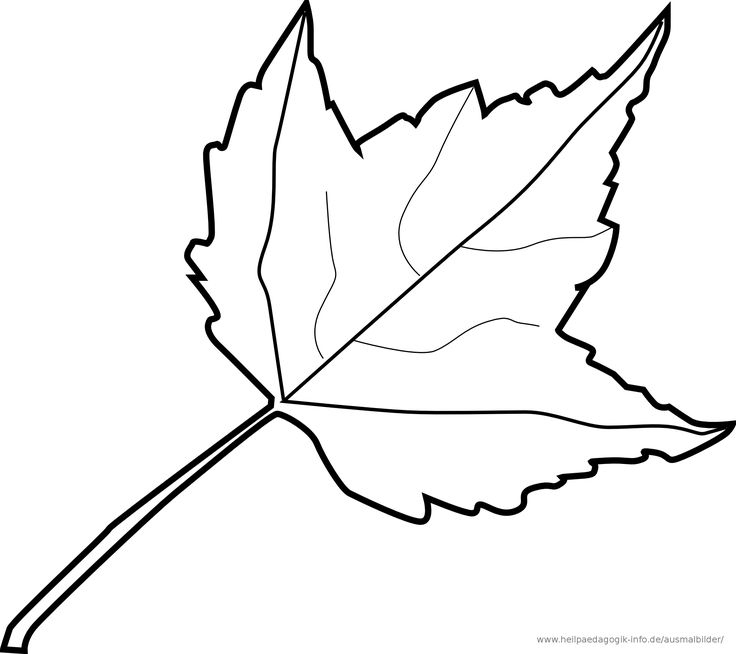 Ausmalbilder Blätter 02 | Ausmalen, Schöne Ausmalbilder in Herbstblatt Ausmalbild