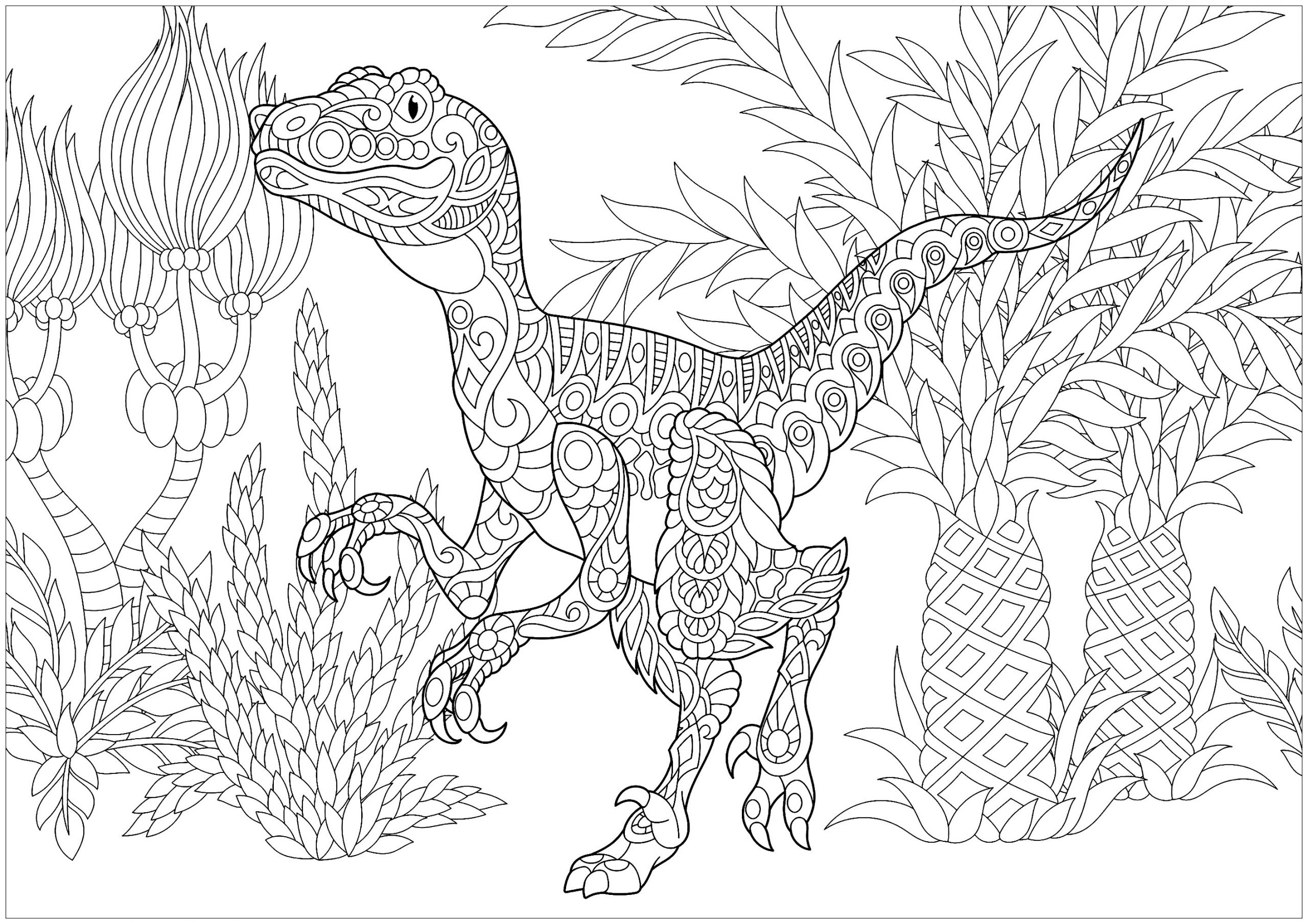 Ausmalbilder Dinosaurier Mandala über Malvorlage Langhals Dino