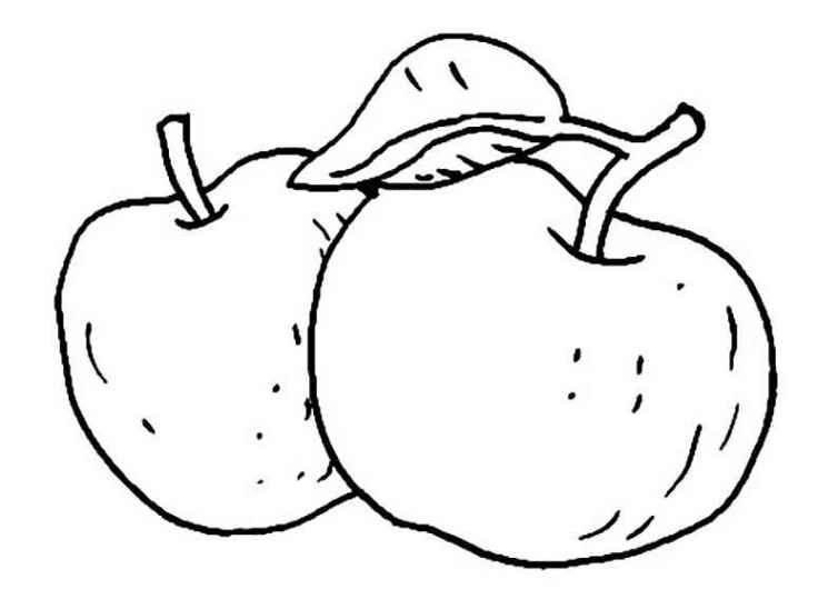 Ausmalbilder Für Kinder Apfel 11 über Apfel Ausmalbild