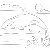 Ausmalbilder: Killerwal Zum Ausdrucken, Kostenlos, Für ganzes Ausmalbild Wal