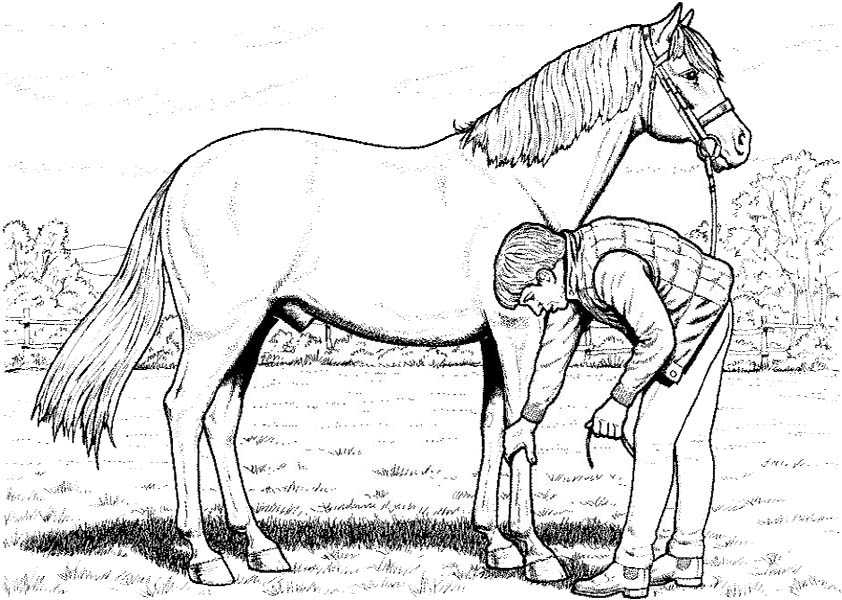 Ausmalbilder, Malvorlagen, Ausmalen , Pferde-27 bestimmt für Ausmalbilder Pferde