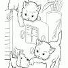 Ausmalbilder- Malvorlagen- Katzen | Ausmalbilder Malvorlagen ganzes Ausmalbilder Katzenbaby