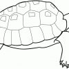 Ausmalbilder, Malvorlagen - Schildkröte Kostenlos Zum über Ausmalbild Schildkröte