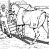 Ausmalbilder Pferde 11 | Horse Coloring Pages, Farm Animal bei Ausmalen Pferde
