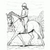 Ausmalbilder Pferde 13 | Ausmalbilder mit Ausmalbilder Pferde Drucken