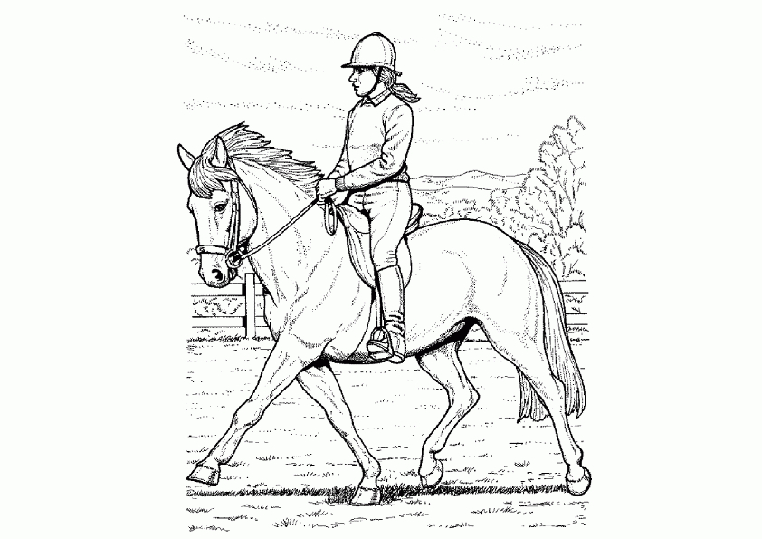 Ausmalbilder Pferde 13 | Ausmalbilder mit Ausmalbilder Pferde Drucken