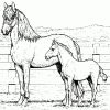 Ausmalbilder Pferde 29 | Ausmalbilder in Pferde Ausmal Bilder