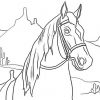 Ausmalbilder Pferde : Ausmalbilder Pferde Kostenlos über Ausmalbild Pferde Kostenlos