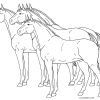 Ausmalbilder Pferde - Malvorlagen Kostenlos Zum Ausdrucken bei Ausmalen Pferd