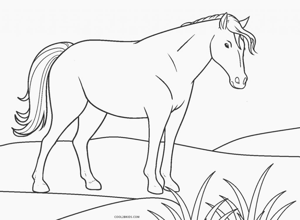 Ausmalbilder Pferde - Malvorlagen Kostenlos Zum Ausdrucken bestimmt für Ausmalbilder Pferde