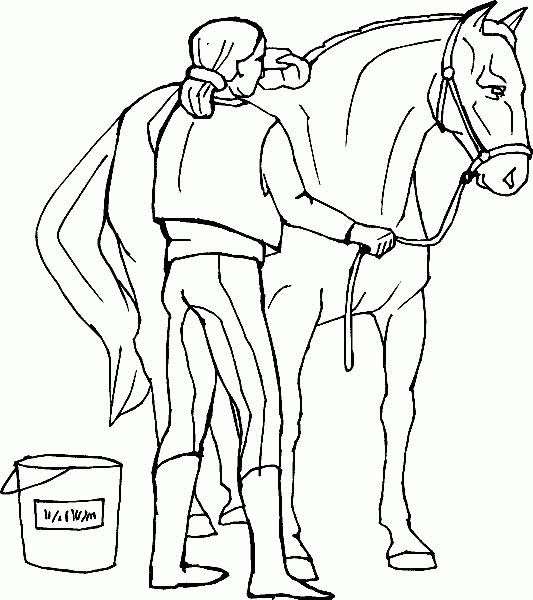 Ausmalbilder Pferde Mit Reiterin Springend - Ausmalbilder innen Ausmalbild Pferd Und Reiter