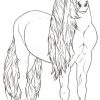 Ausmalbilder Pferde Tinker - Tiffanylovesbooks bestimmt für Ausmalbild Pferde Kostenlos