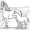 Ausmalbilder Pferde | Zebras, Humanoid Sketch, Art über Ausmalbild Pferde