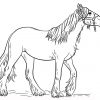 Ausmalbilder: Pferde Zum Ausdrucken, Kostenlos, Für Kinder bestimmt für Ausmalbilder Pferde Drucken