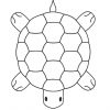 Ausmalbilder Schildkröte - Malvorlagen Kostenlos Zum mit Ausmalbild Schildkröten