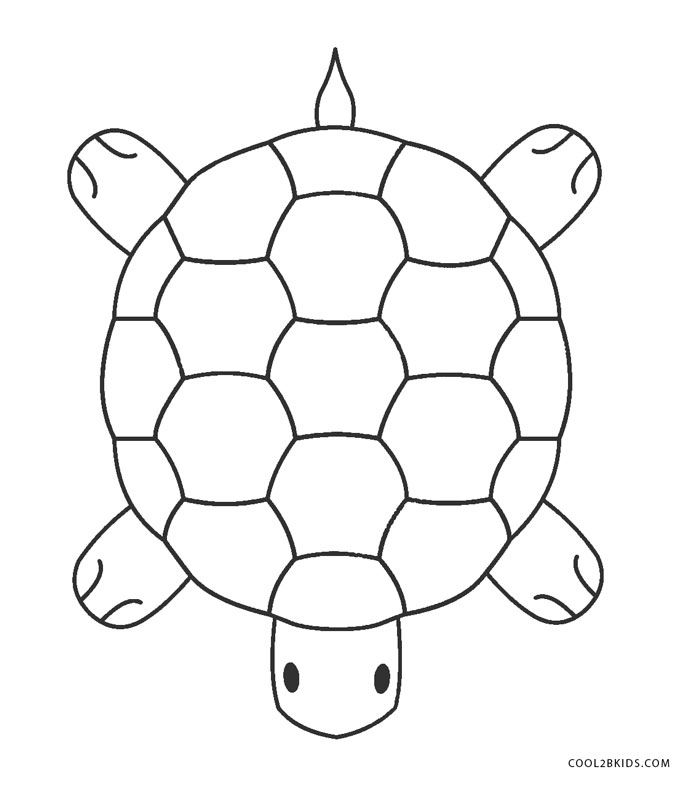 Ausmalbilder Schildkröte - Malvorlagen Kostenlos Zum mit Ausmalbild Schildkröten
