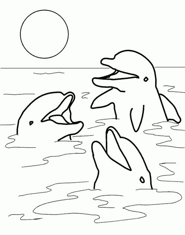 Ausmalbilder Top ganzes Delfine Bilder Zum Ausmalen