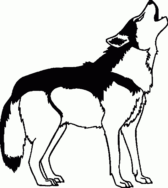 Ausmalbilder Wolf - Malvorlage Gratis verwandt mit Ausmalbilder Wolf