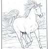 Ausmalbilder Zum Ausdrucken: Ausmalbilder Pferde bei Ausmalbilder Pferde