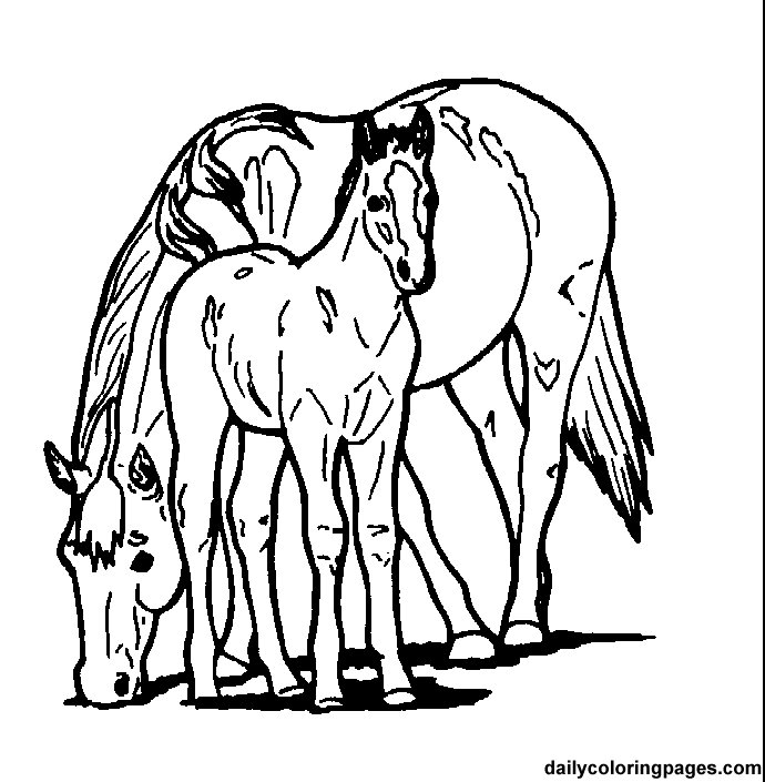 Ausmalbilder Zum Ausdrucken: Ausmalbilder Pferde in Ausmalbilder Pferde