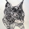 Bildergebnis Für Luchs Zeichnung Bleistift | Tiere mit Kätzchen Zeichnen
