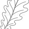 Blatt Der Eiche , Natur Objekt , Vektor , Isoliert innen Herbstblatt Ausmalbild